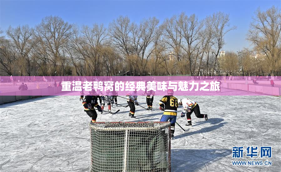 重温老鸭窝的经典美味与魅力之旅