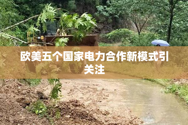 欧美五个国家电力合作新模式引关注