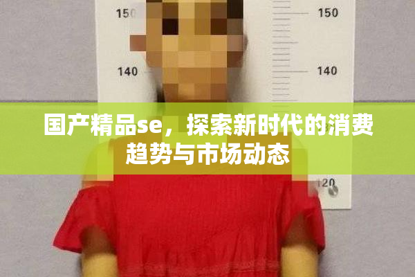 国产精品se，探索新时代的消费趋势与市场动态