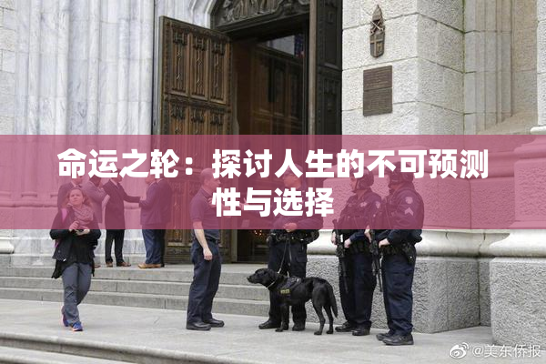命运之轮：探讨人生的不可预测性与选择