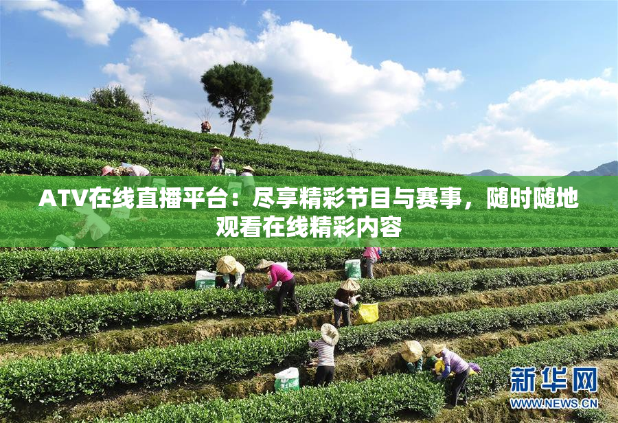 ATV在线直播平台：尽享精彩节目与赛事，随时随地观看在线精彩内容