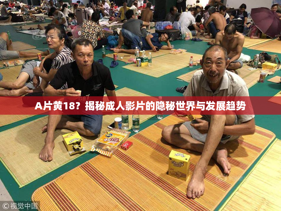 A片黄18？揭秘成人影片的隐秘世界与发展趋势