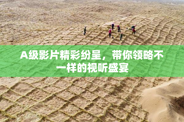 A级影片精彩纷呈，带你领略不一样的视听盛宴