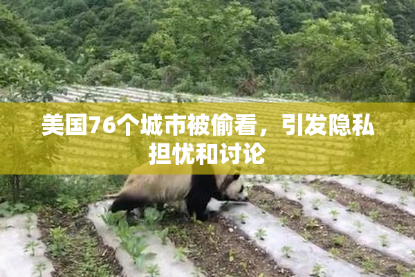 美国76个城市被偷看，引发隐私担忧和讨论