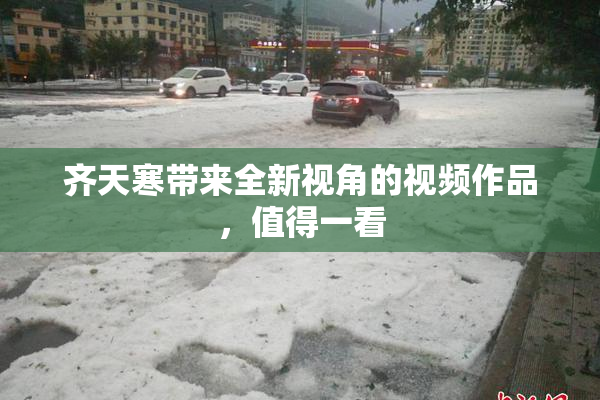 齐天寒带来全新视角的视频作品，值得一看