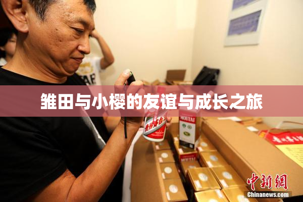 雏田与小樱的友谊与成长之旅