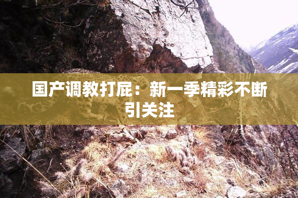 国产调教打屁：新一季精彩不断引关注