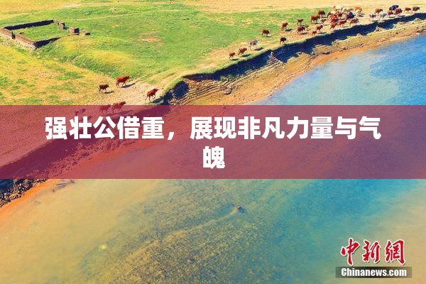 强壮公借重，展现非凡力量与气魄