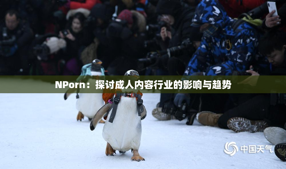 ΝPorn：探讨成人内容行业的影响与趋势