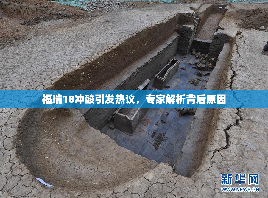 福瑞18冲酸引发热议，专家解析背后原因