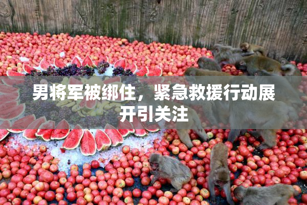 男将军被绑住，紧急救援行动展开引关注