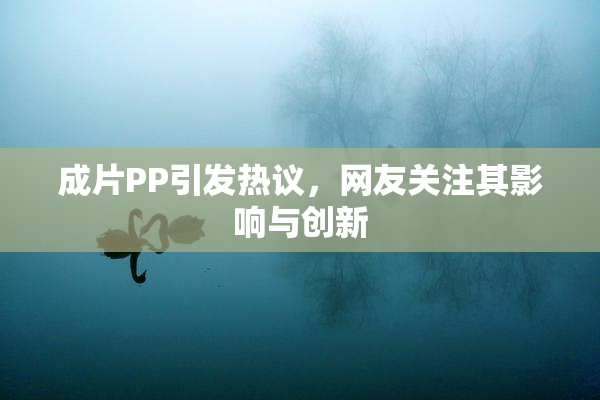 成片PP引发热议，网友关注其影响与创新