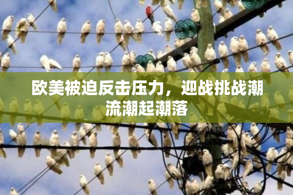 欧美被迫反击压力，迎战挑战潮流潮起潮落