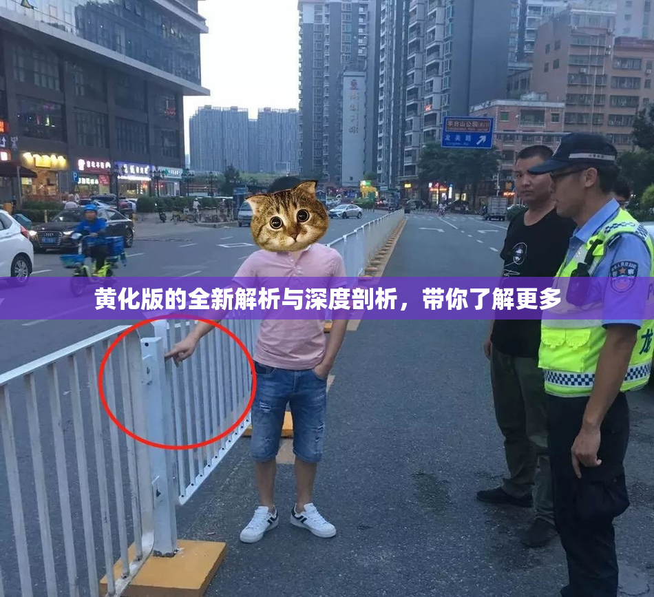 黄化版的全新解析与深度剖析，带你了解更多