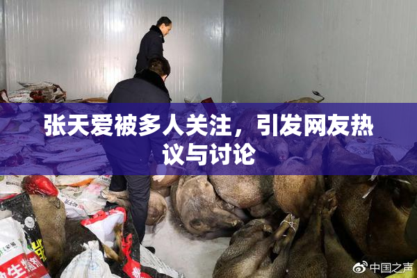张天爱被多人关注，引发网友热议与讨论