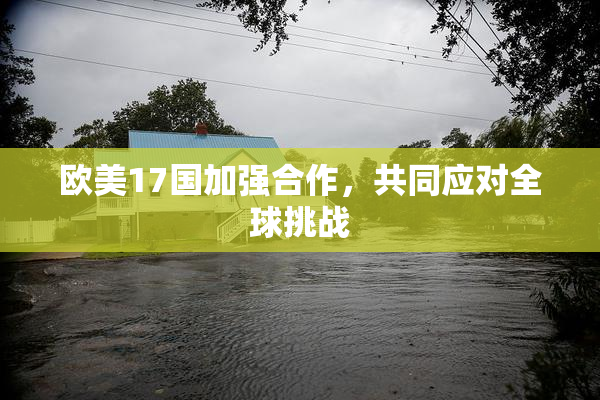 欧美17国加强合作，共同应对全球挑战