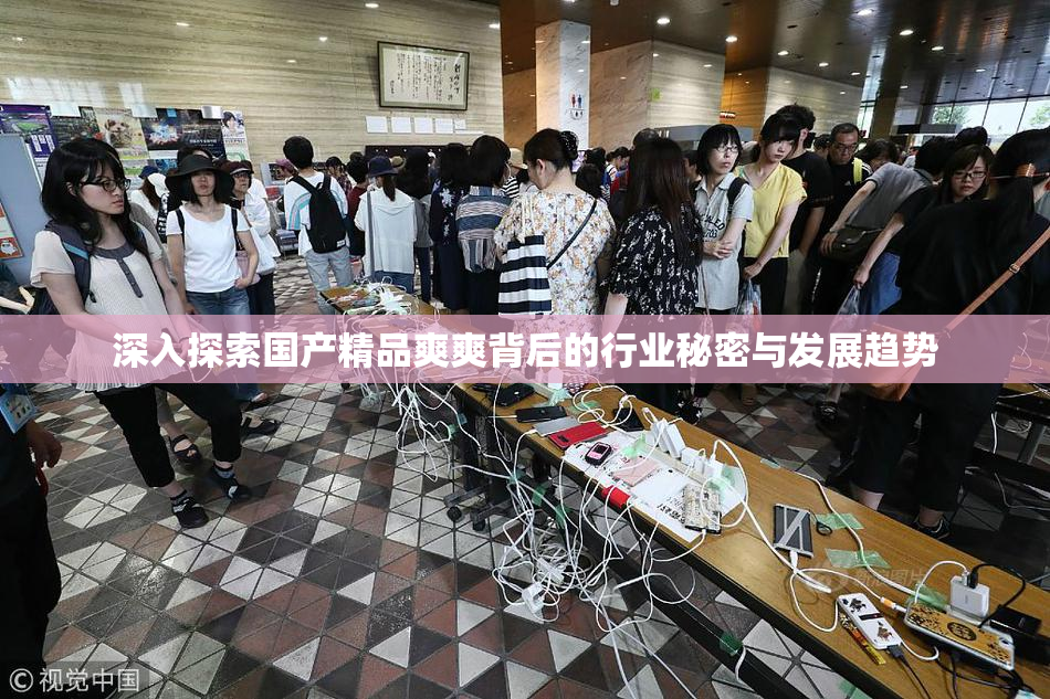 深入探索国产精品爽爽背后的行业秘密与发展趋势