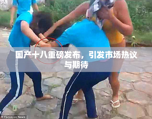 国产十八重磅发布，引发市场热议与期待