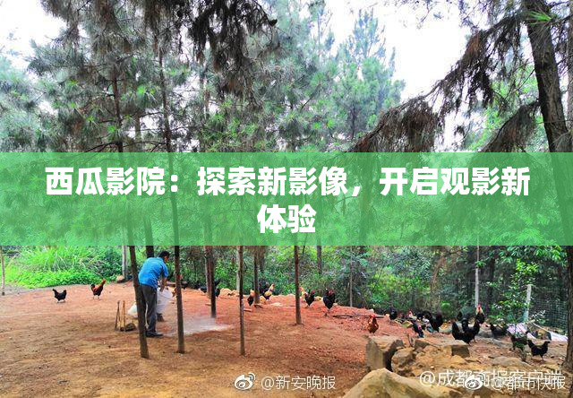 西瓜影院：探索新影像，开启观影新体验