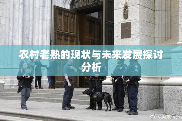 农村老熟的现状与未来发展探讨分析