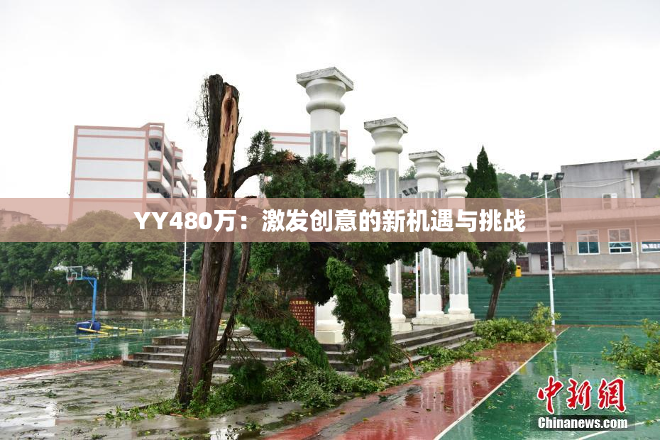YY480万：激发创意的新机遇与挑战