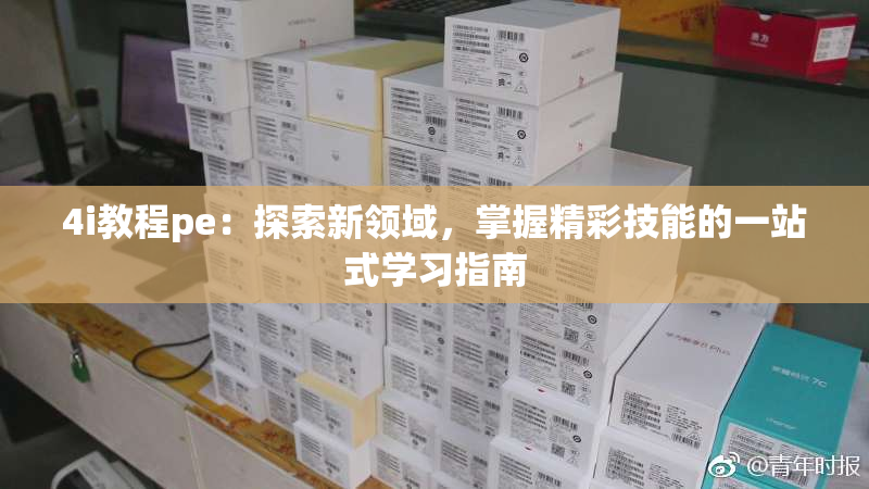 4i教程pe：探索新领域，掌握精彩技能的一站式学习指南