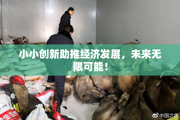 小小创新助推经济发展，未来无限可能！