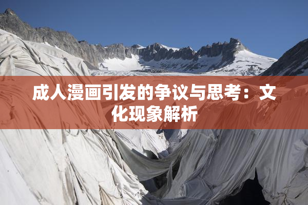成人漫画引发的争议与思考：文化现象解析