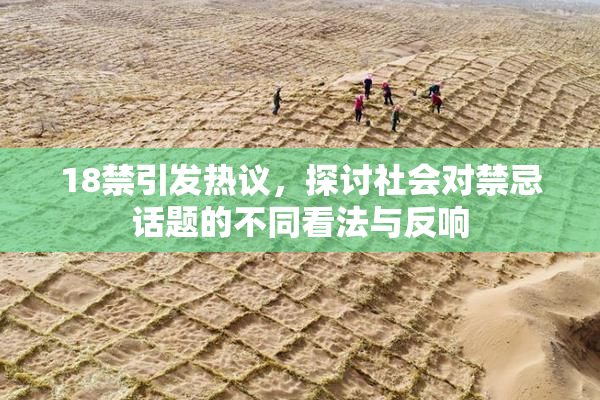 18禁引发热议，探讨社会对禁忌话题的不同看法与反响