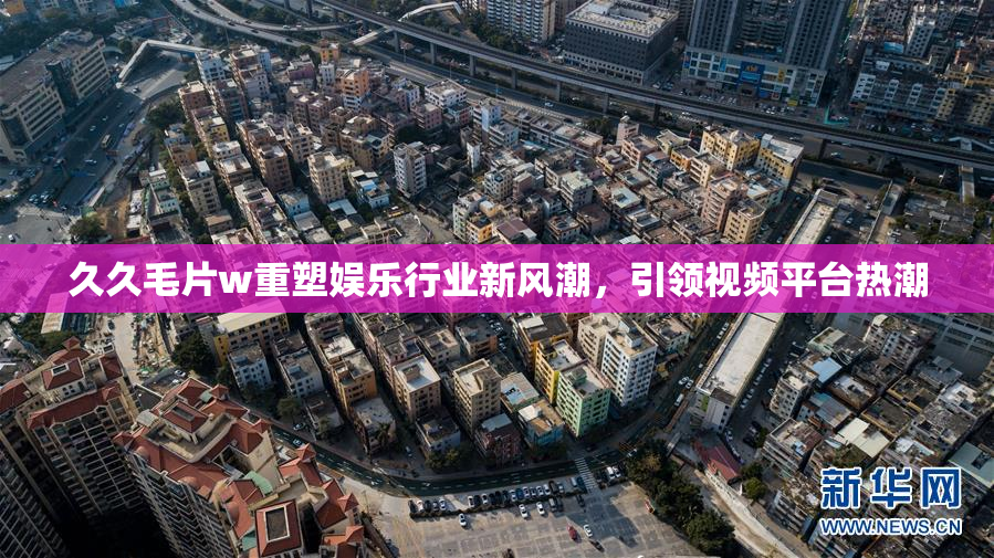 久久毛片w重塑娱乐行业新风潮，引领视频平台热潮