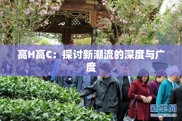 高H高C：探讨新潮流的深度与广度