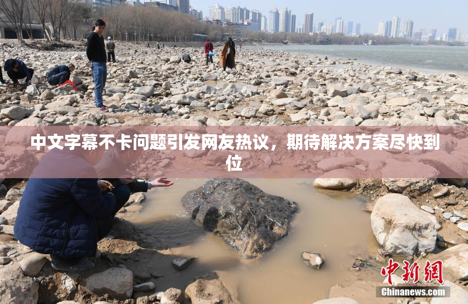 中文字幕不卡问题引发网友热议，期待解决方案尽快到位