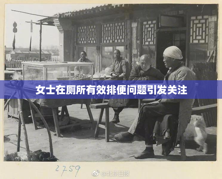 女士在厕所有效排便问题引发关注