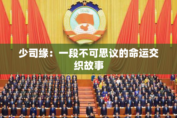 少司缘：一段不可思议的命运交织故事
