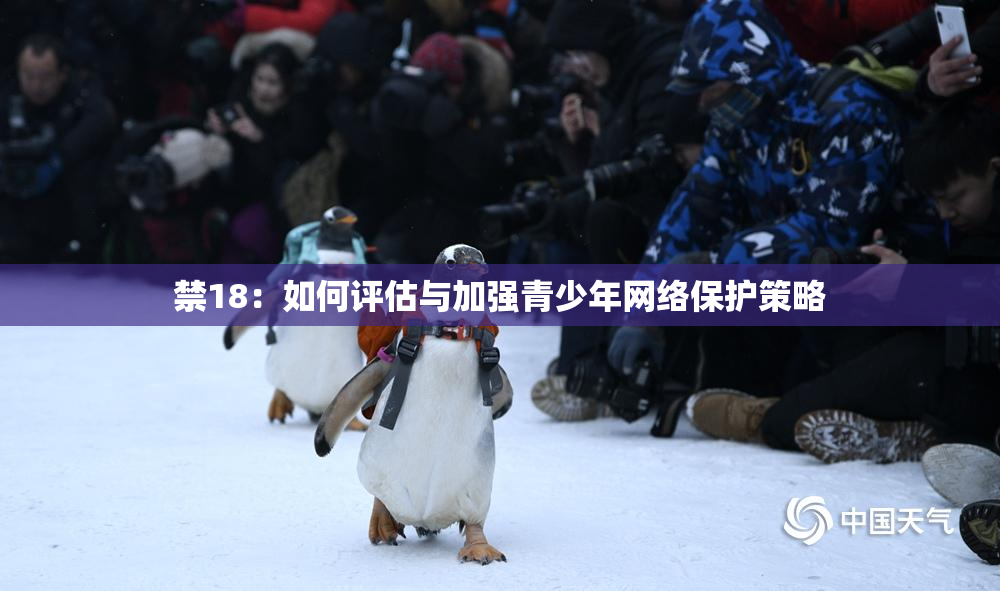 禁18：如何评估与加强青少年网络保护策略