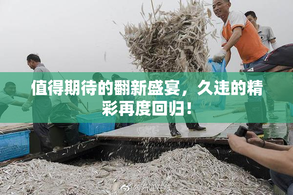值得期待的翻新盛宴，久违的精彩再度回归！