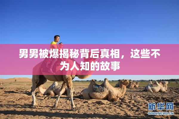 男男被爆揭秘背后真相，这些不为人知的故事
