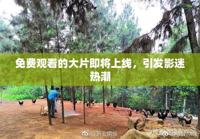 免费观看的大片即将上线，引发影迷热潮