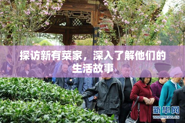 探访新有菜家，深入了解他们的生活故事