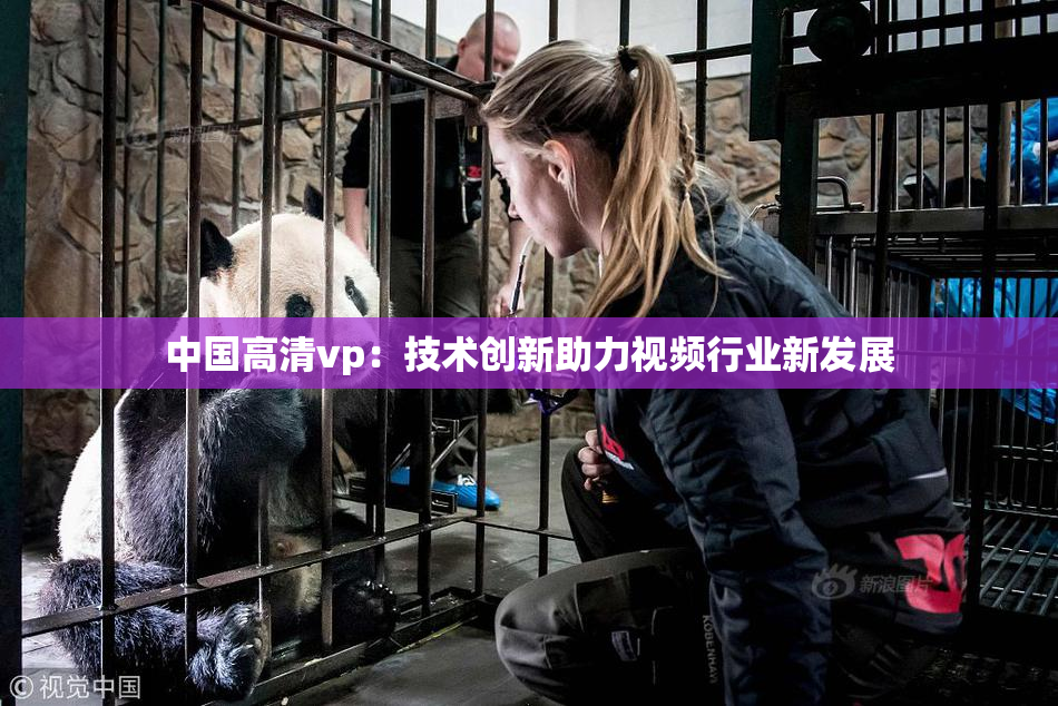 中国高清vp：技术创新助力视频行业新发展