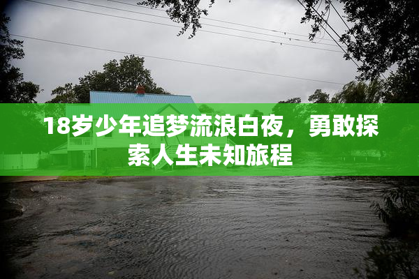 18岁少年追梦流浪白夜，勇敢探索人生未知旅程