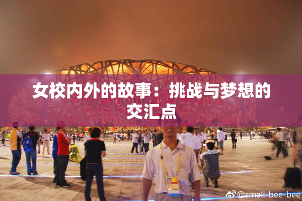 女校内外的故事：挑战与梦想的交汇点