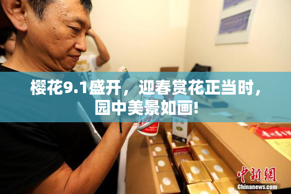 樱花9.1盛开，迎春赏花正当时，园中美景如画!
