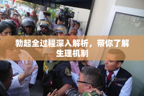 勃起全过程深入解析，带你了解生理机制