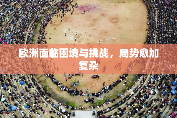 欧洲面临困境与挑战，局势愈加复杂