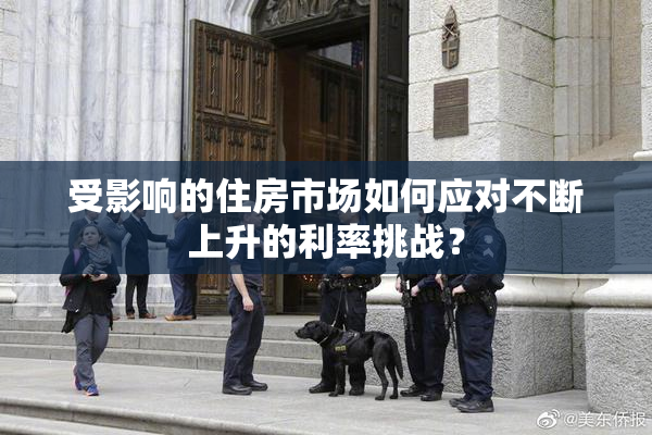 受影响的住房市场如何应对不断上升的利率挑战？