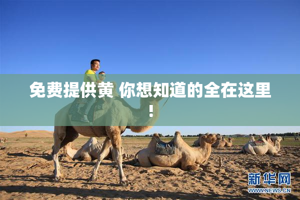 免费提供黄 你想知道的全在这里!