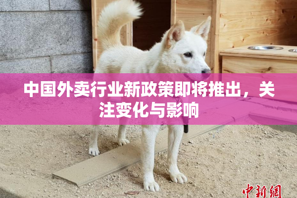 中国外卖行业新政策即将推出，关注变化与影响