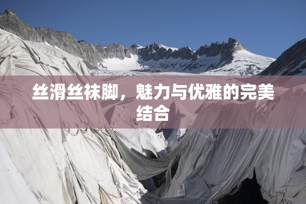 丝滑丝袜脚，魅力与优雅的完美结合
