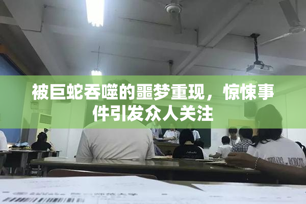 被巨蛇吞噬的噩梦重现，惊悚事件引发众人关注